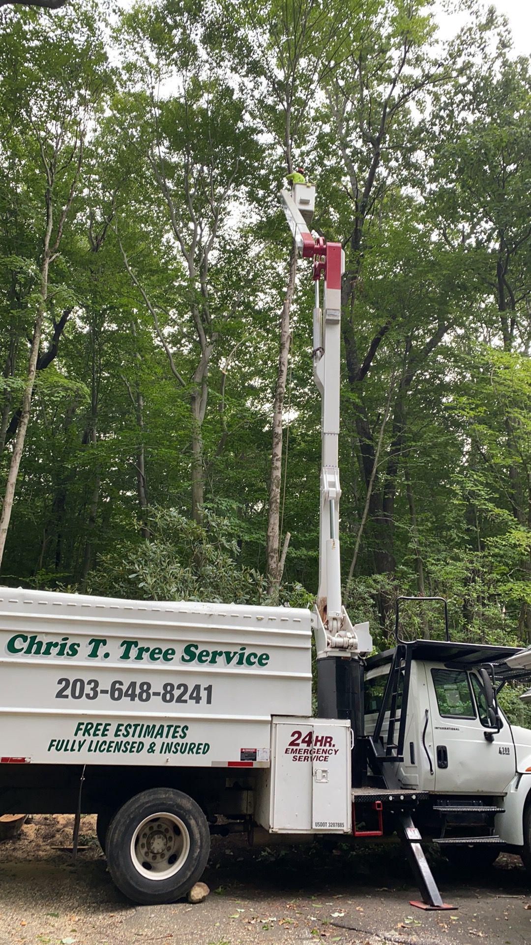 Land Clearing Fairfield County CT