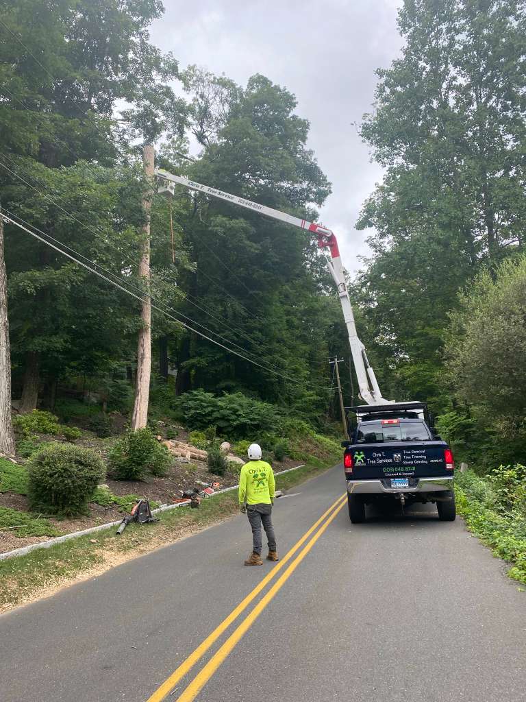 Chris T Tree Service crew Fairfield County