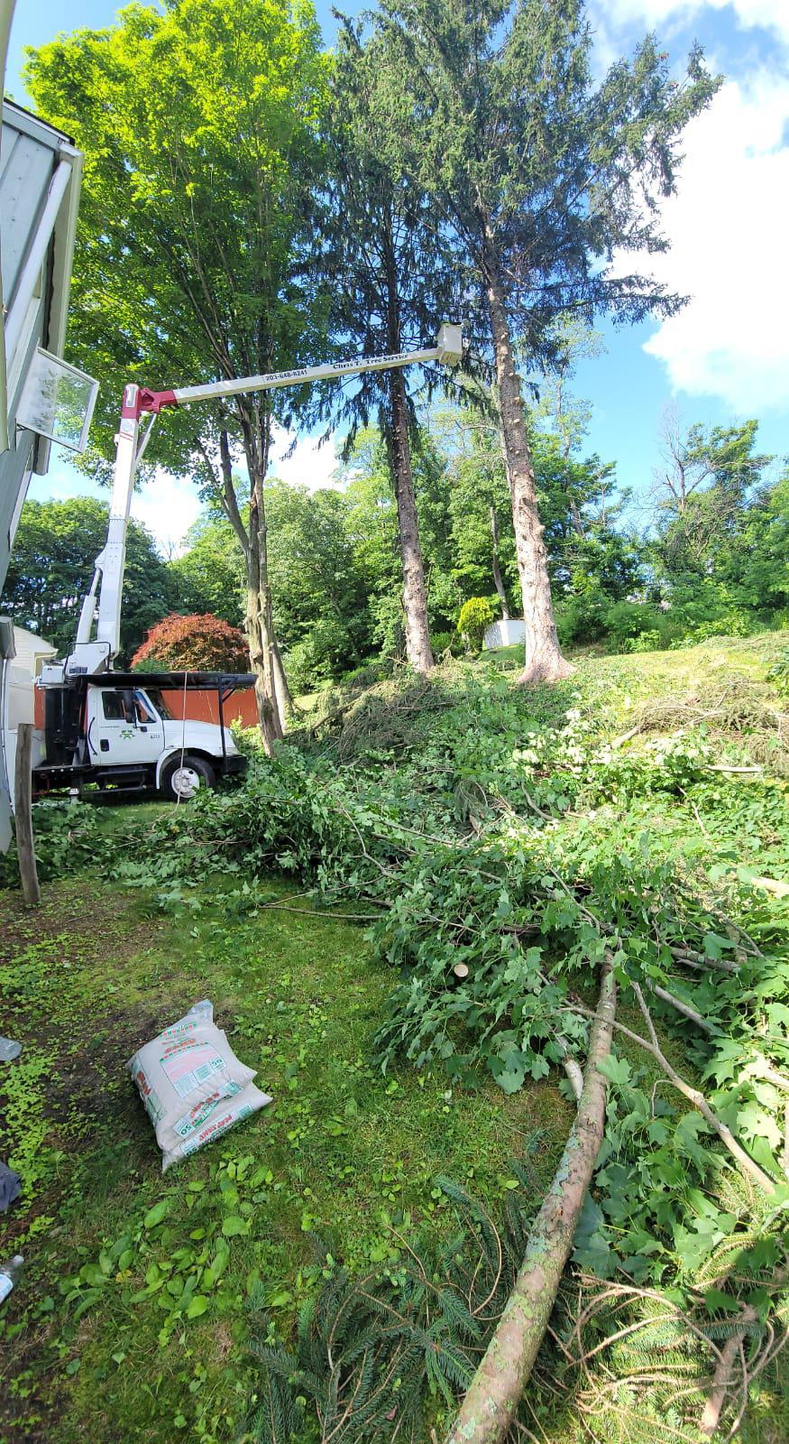 Stump Grinding Fairfield County CT