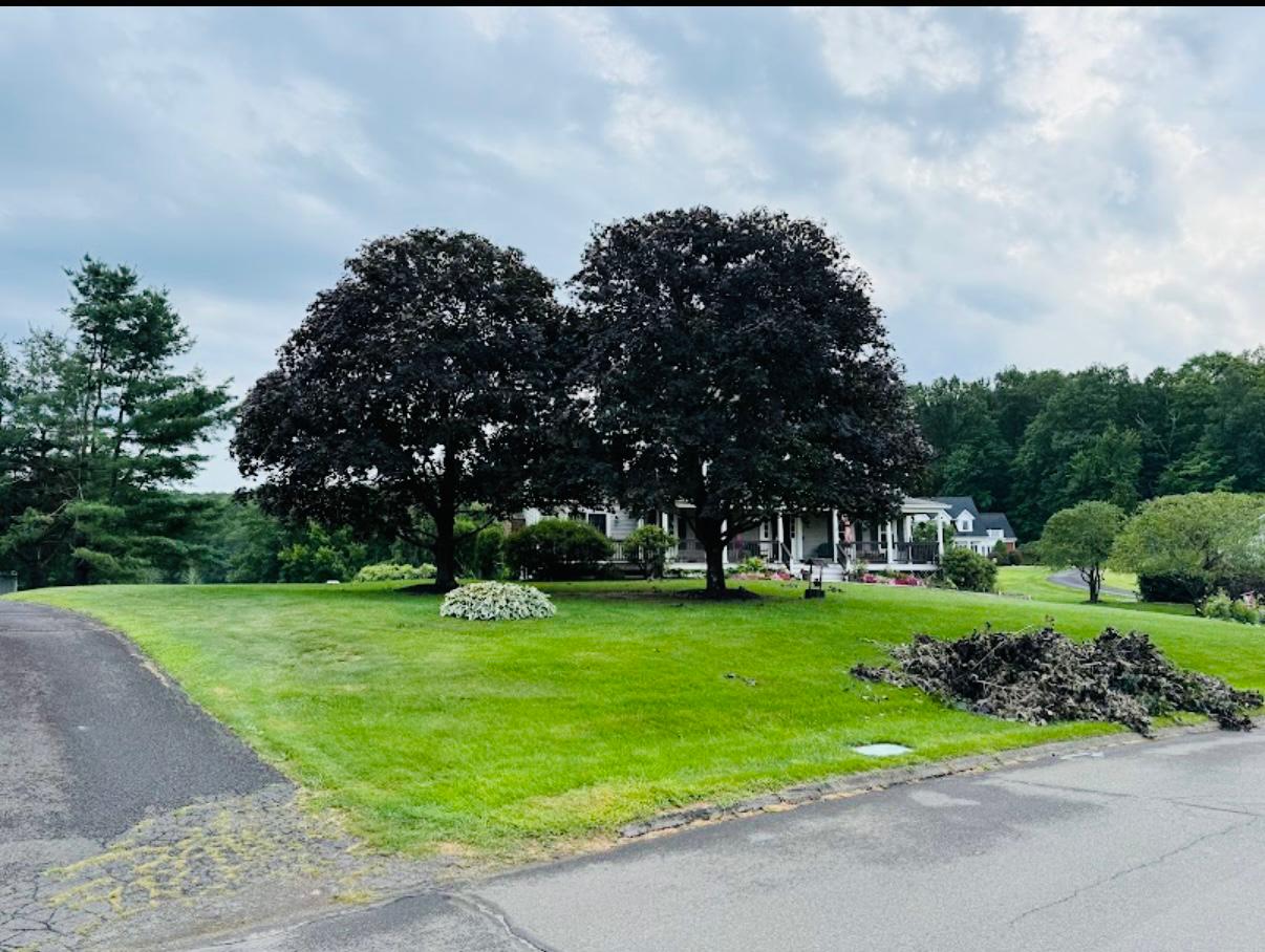 Tree Trimming Fairfield County CT